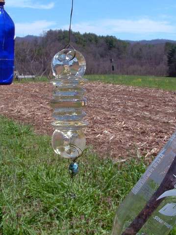 What are bottle trees