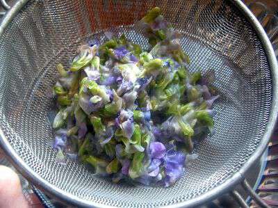 What kind of violets do you make jelly from