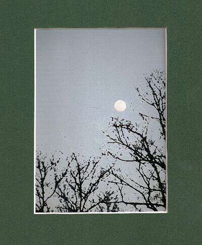 Full moon in appalachia