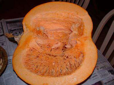 How to freeze pumpkin