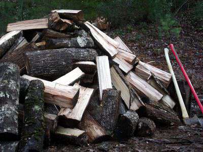 Best wood to burn for firewood