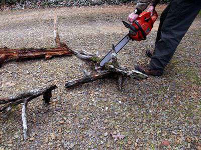 What rich pine looks like