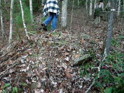 Hiking in western nc 2