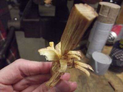 Flower fire starters from fat wood