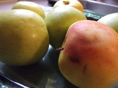 The Best Apple Pie