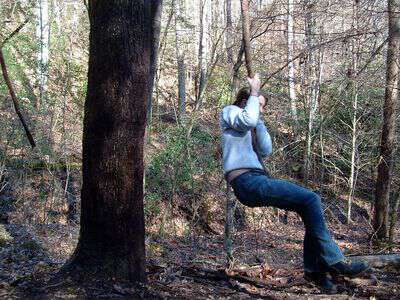 Swinging on grapevines in western nc