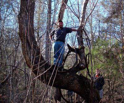 Tree climbing