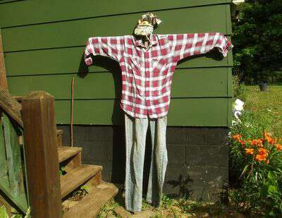 Scarecrow