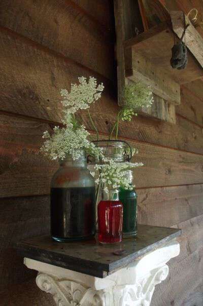 Folklore about queen annes lace
