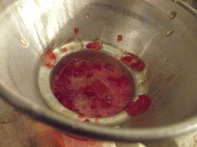 Appalachian red pepper jam