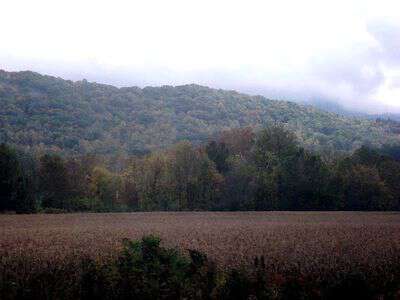 Accent southern