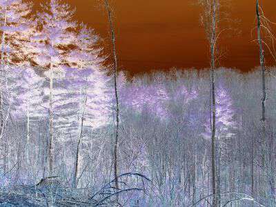 Scary stories from appalachia