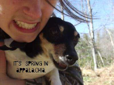 Spring in Appalachia