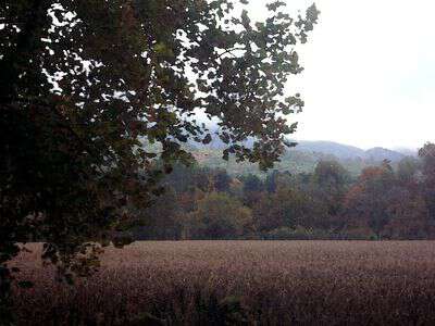 Accent appalachia