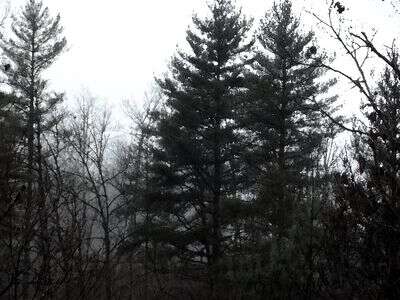 Accent in appalachia